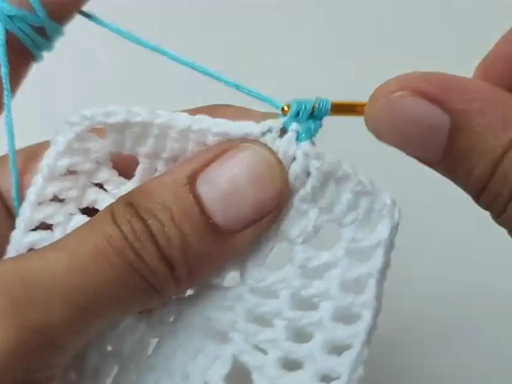 Add visual interest and a polished finish with a contrasting border color.