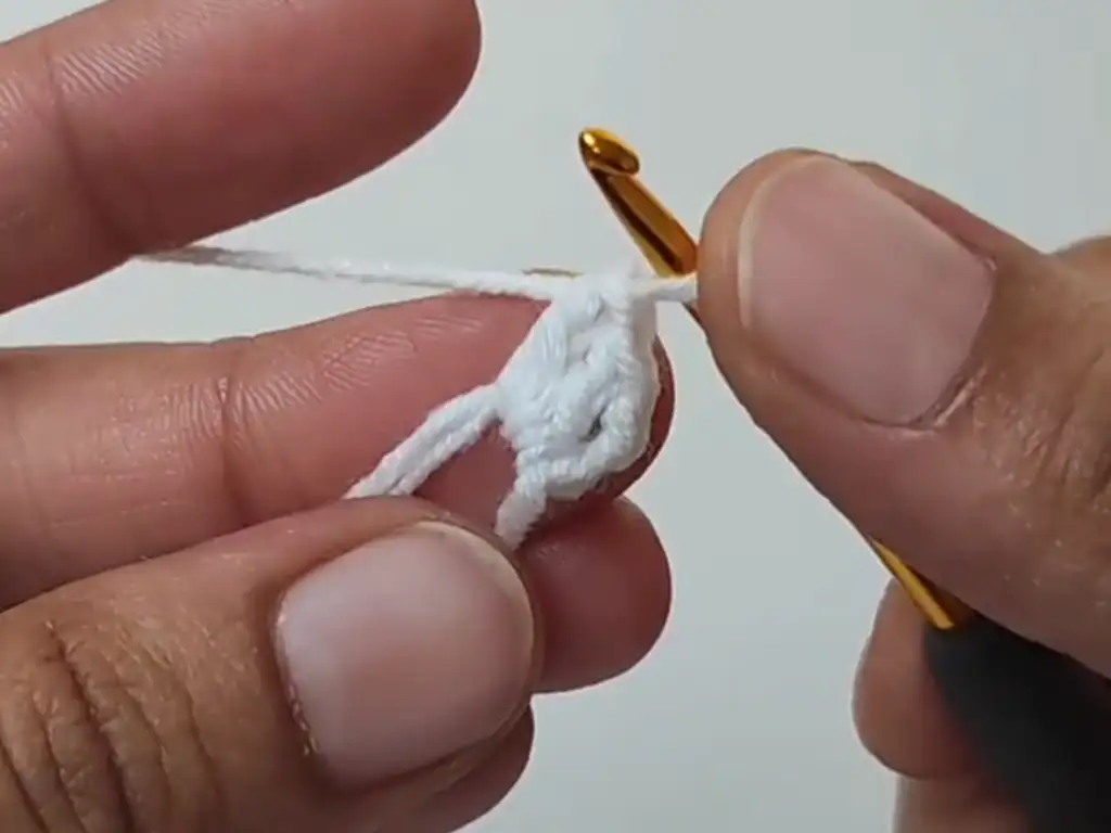 Work the initial double crochet stitches and chains into your magic ring.
