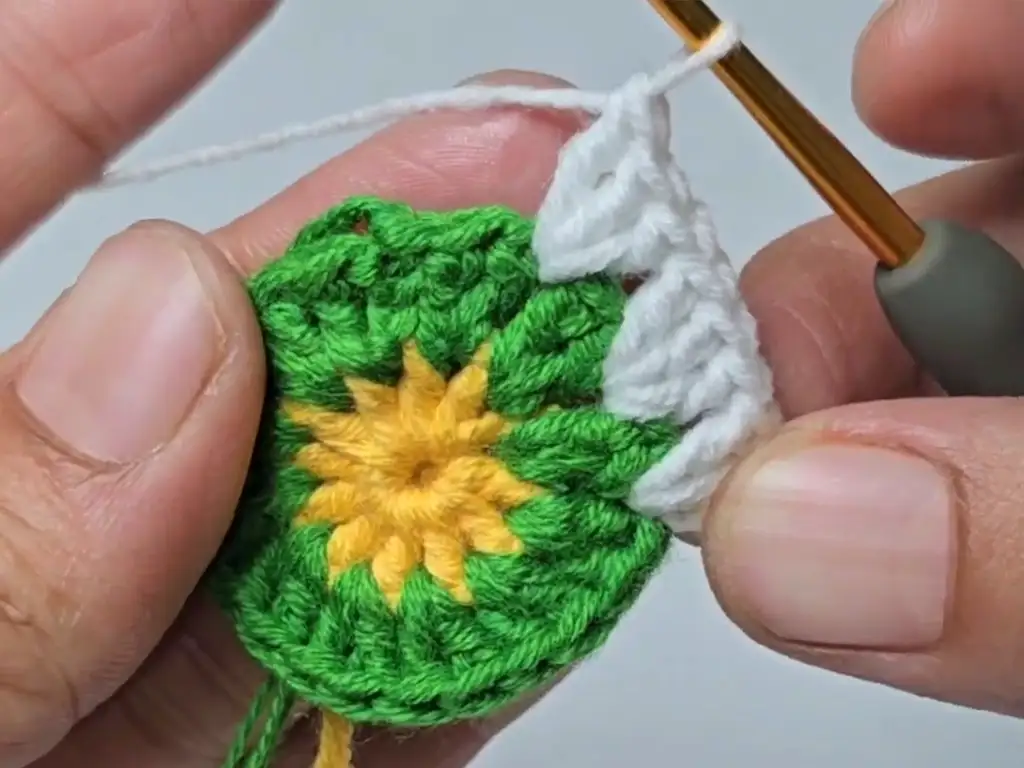 Crochet hook adding white yarn in the third round.