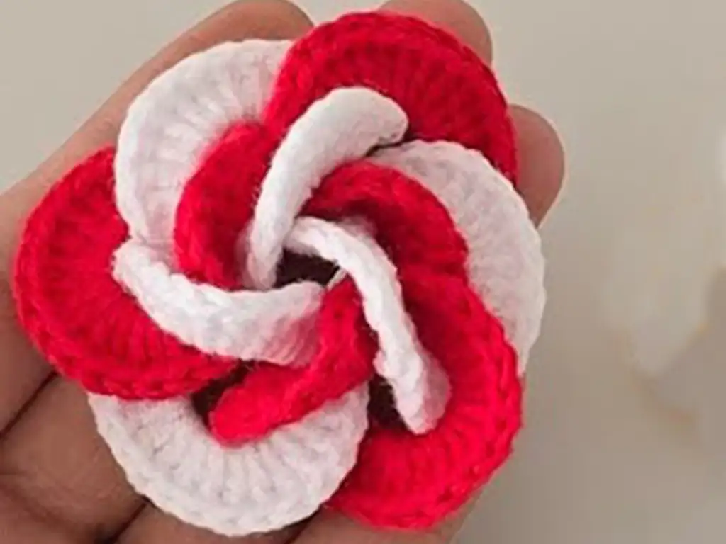 Finished two-color crochet flower rose designs in red.