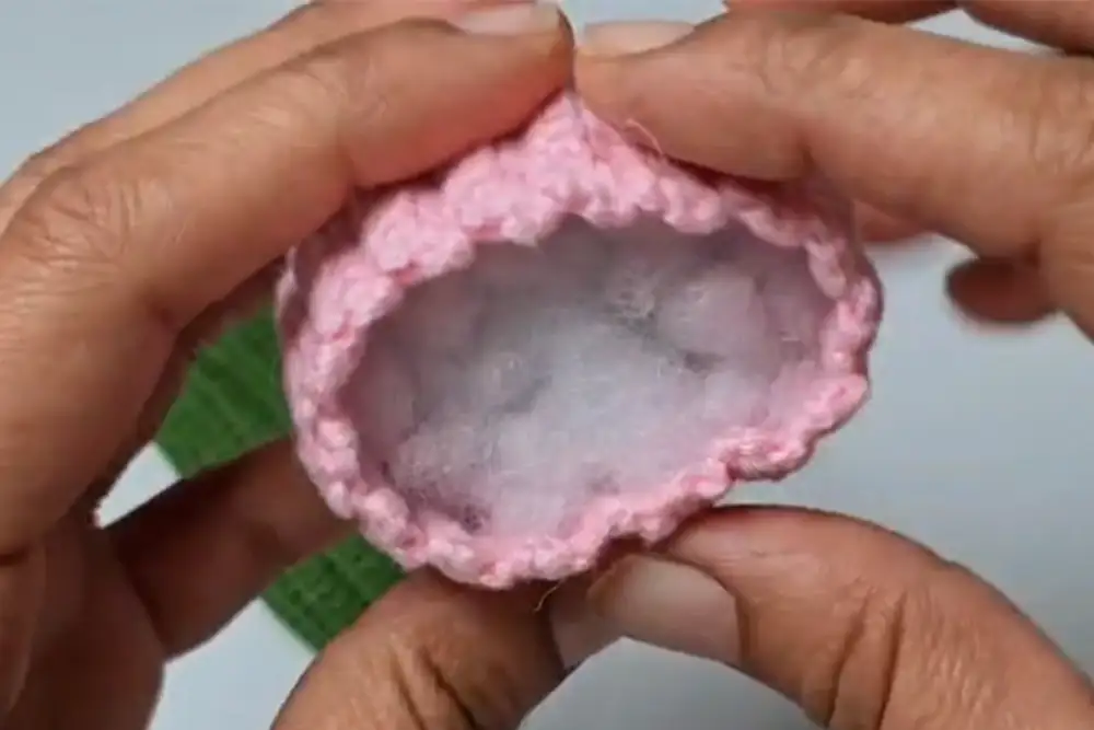 Inside view of the stuffed crochet tulip bulb
