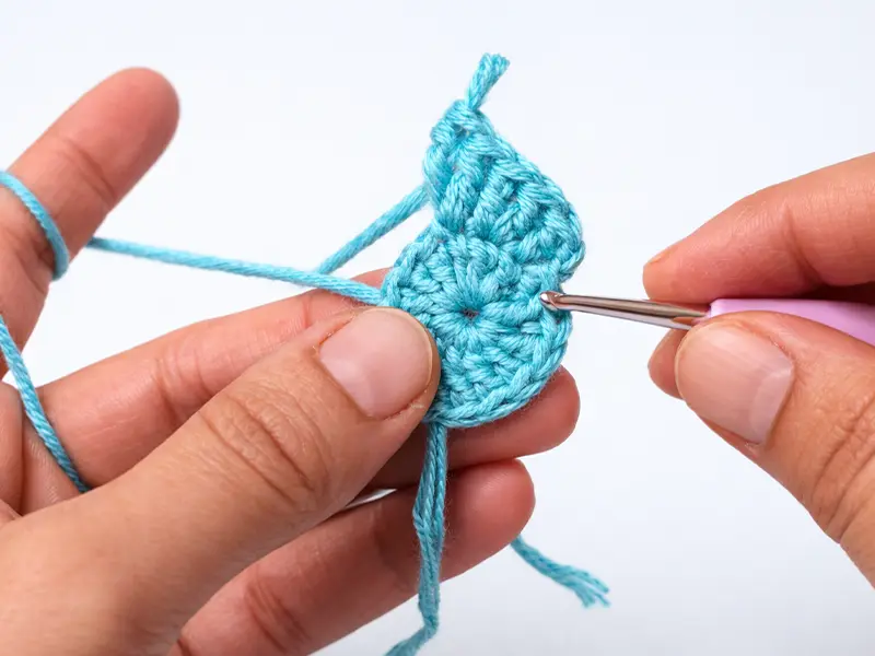 Crochet increase step close up showing two stitches in one stitch for beginners